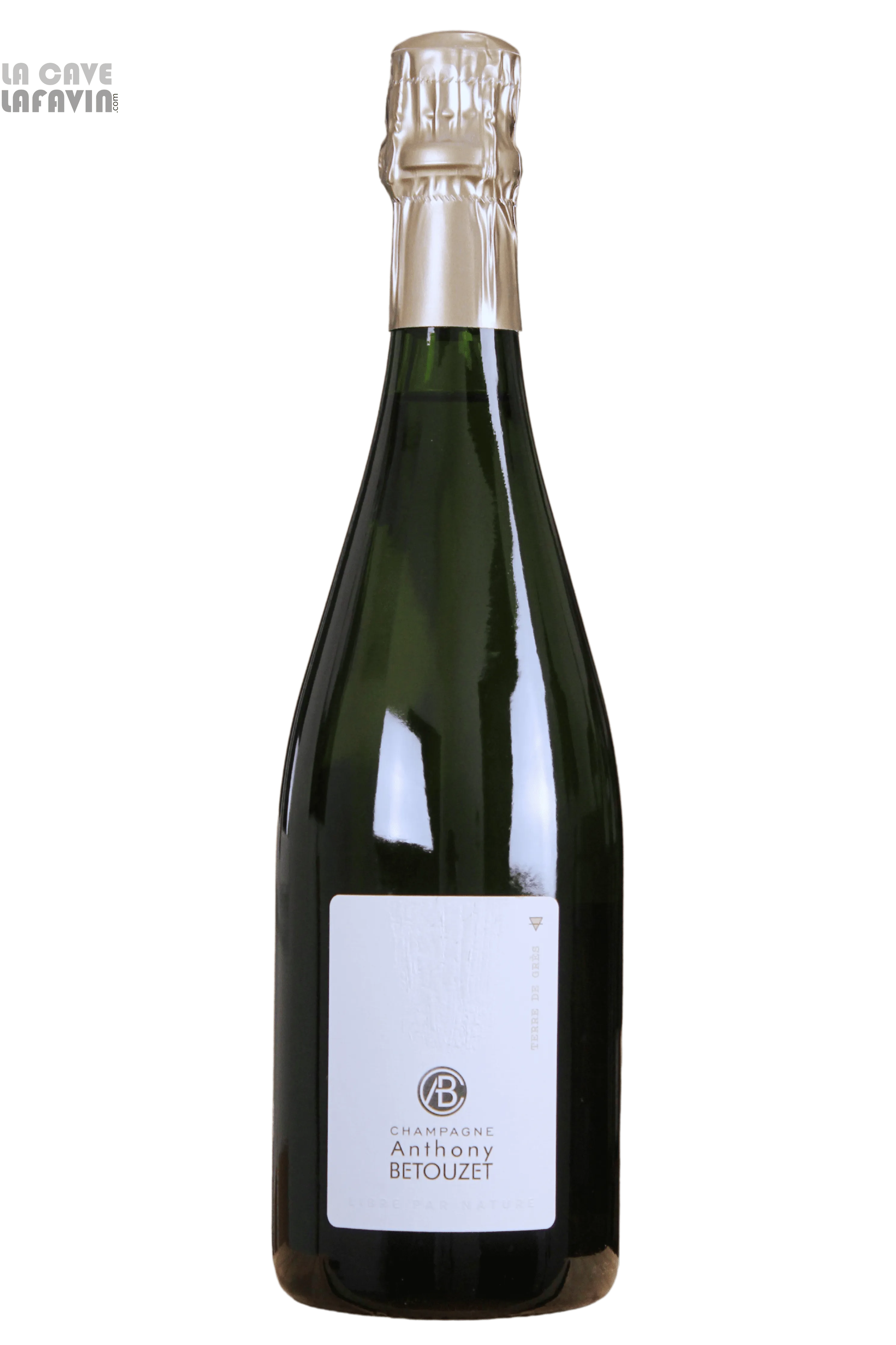 Domaine Anthony Betouzet - Terre de Grès Extra Brut [Champagne] millésimé - LAFAVIN